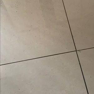 Meet your Posher, Ali